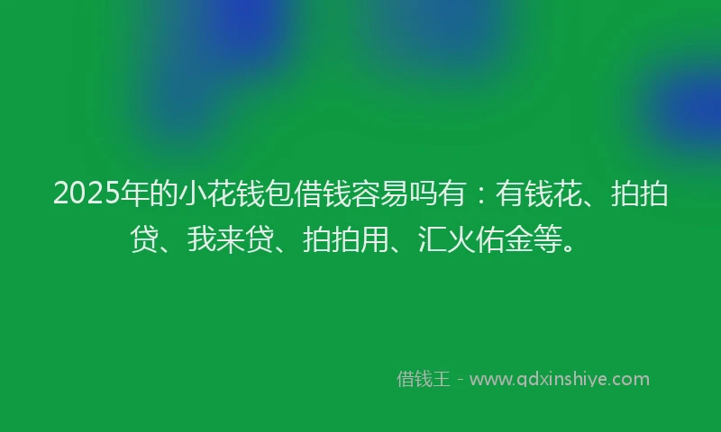 2025年的小花钱包借钱容易吗有：有钱花、拍拍贷、我来贷、拍拍用、汇火佑金等。