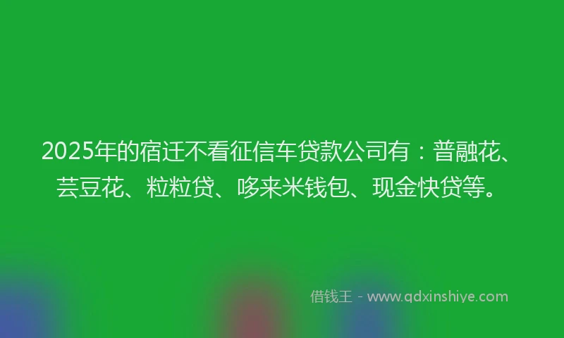 2025年的宿迁不看征信车贷款公司有：普融花、芸豆花、粒粒贷、哆来米钱包、现金快贷等。