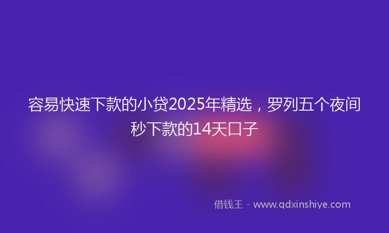 容易快速下款的小贷2025年精选，罗列五个夜间秒下款的14天口子
