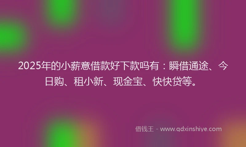 2025年的小薪意借款好下款吗有：瞬借通途、今日购、租小新、现金宝、快快贷等。