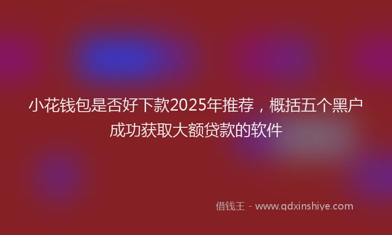 小花钱包是否好下款2025年推荐，概括五个黑户成功获取大额贷款的软件