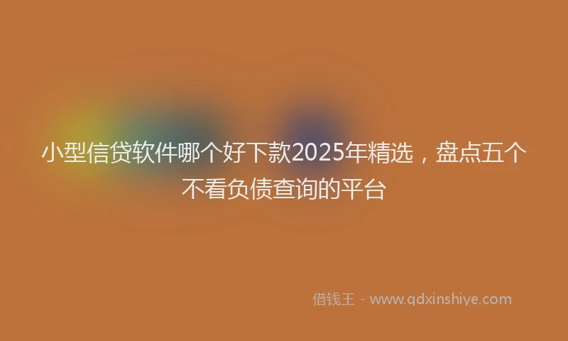 小型信贷软件哪个好下款2025年精选，盘点五个不看负债查询的平台