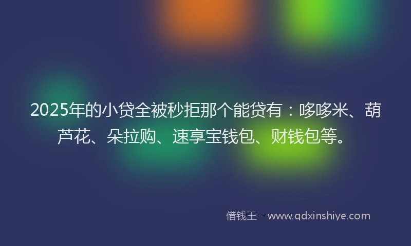2025年的小贷全被秒拒那个能贷有：哆哆米、葫芦花、朵拉购、速享宝钱包、财钱包等。