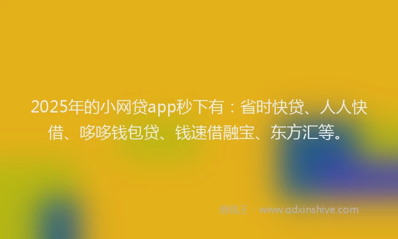2025年的小网贷app秒下有：省时快贷、人人快借、哆哆钱包贷、钱速借融宝、东方汇等。