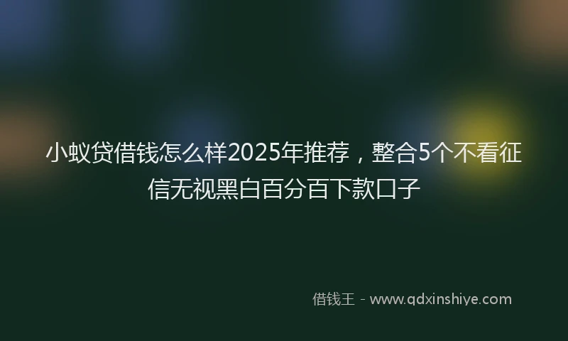 小蚁贷借钱怎么样2025年推荐，整合5个不看征信无视黑白百分百下款口子