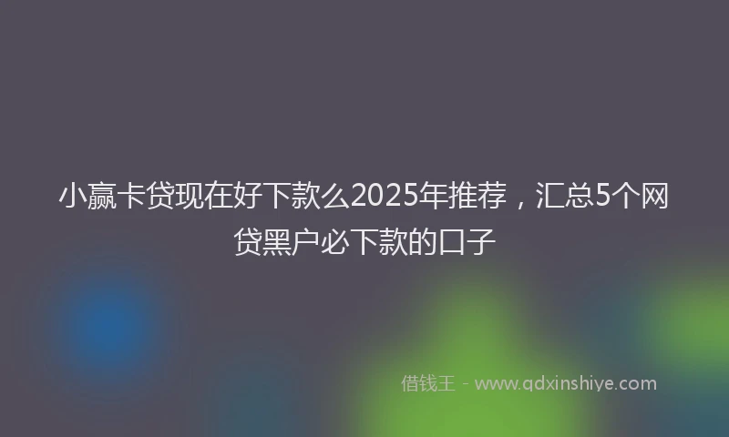 小赢卡贷现在好下款么2025年推荐，汇总5个网贷黑户必下款的口子