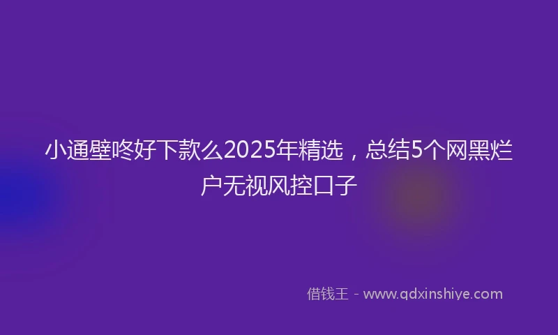 小通壁咚好下款么2025年精选，总结5个网黑烂户无视风控口子