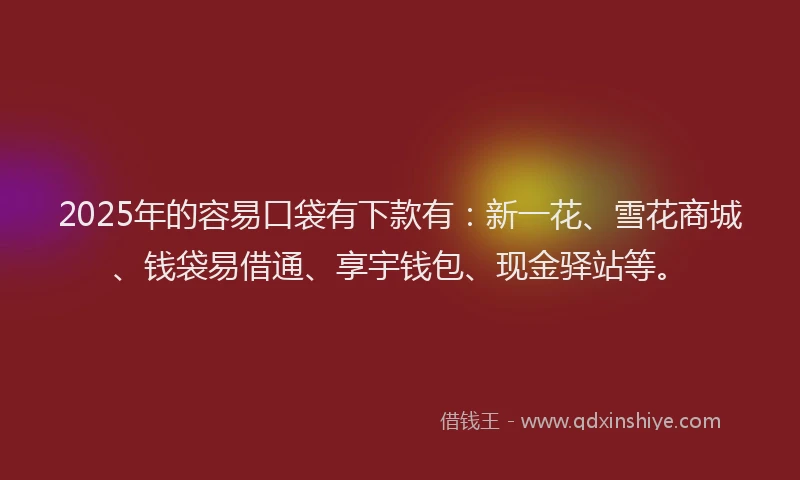 2025年的容易口袋有下款有：新一花、雪花商城、钱袋易借通、享宇钱包、现金驿站等。