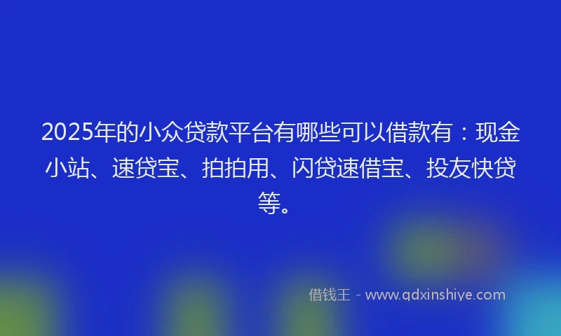 2025年的小众贷款平台有哪些可以借款有：现金小站、速贷宝、拍拍用、闪贷速借宝、投友快贷等。