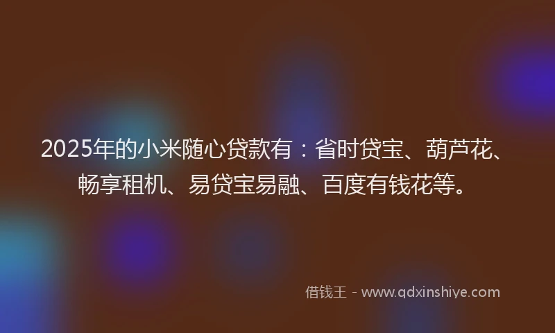 2025年的小米随心贷款有：省时贷宝、葫芦花、畅享租机、易贷宝易融、百度有钱花等。