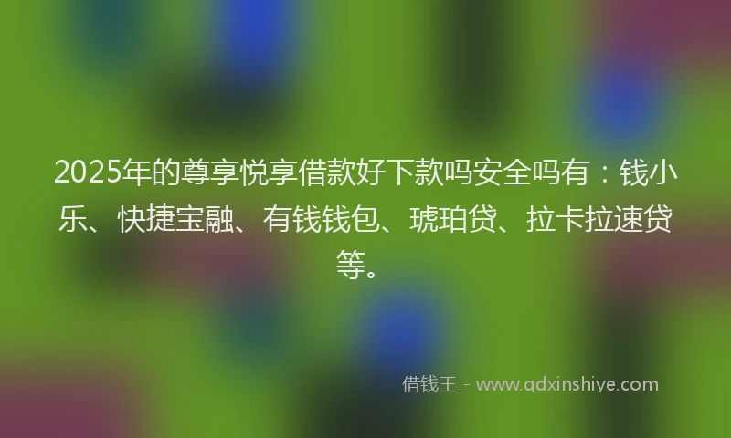 2025年的尊享悦享借款好下款吗安全吗有：钱小乐、快捷宝融、有钱钱包、琥珀贷、拉卡拉速贷等。