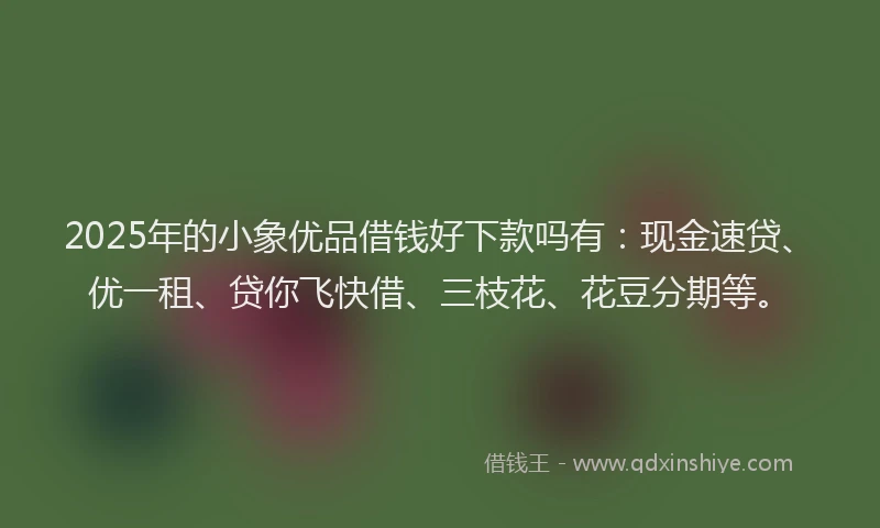 2025年的小象优品借钱好下款吗有：现金速贷、优一租、贷你飞快借、三枝花、花豆分期等。