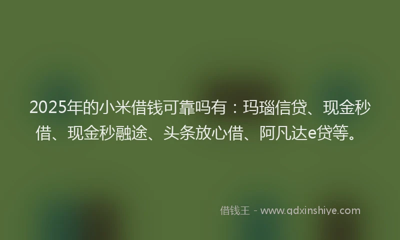 2025年的小米借钱可靠吗有：玛瑙信贷、现金秒借、现金秒融途、头条放心借、阿凡达e贷等。
