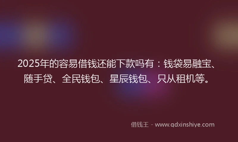 2025年的容易借钱还能下款吗有：钱袋易融宝、随手贷、全民钱包、星辰钱包、只从租机等。