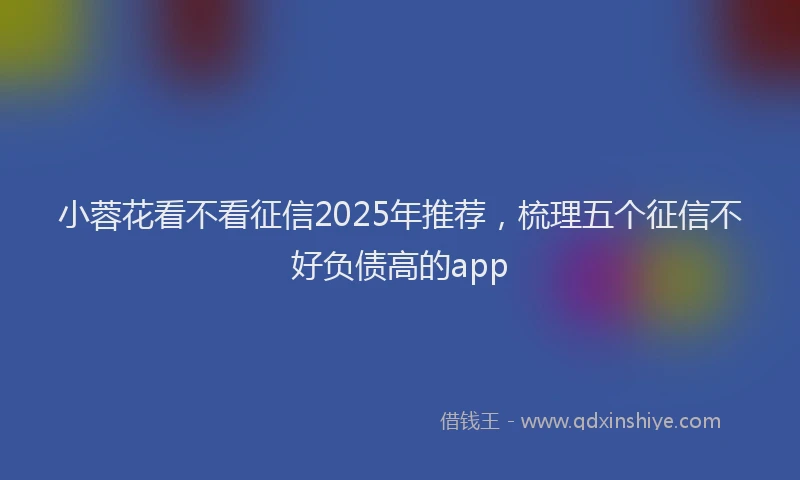 小蓉花看不看征信2025年推荐，梳理五个征信不好负债高的app