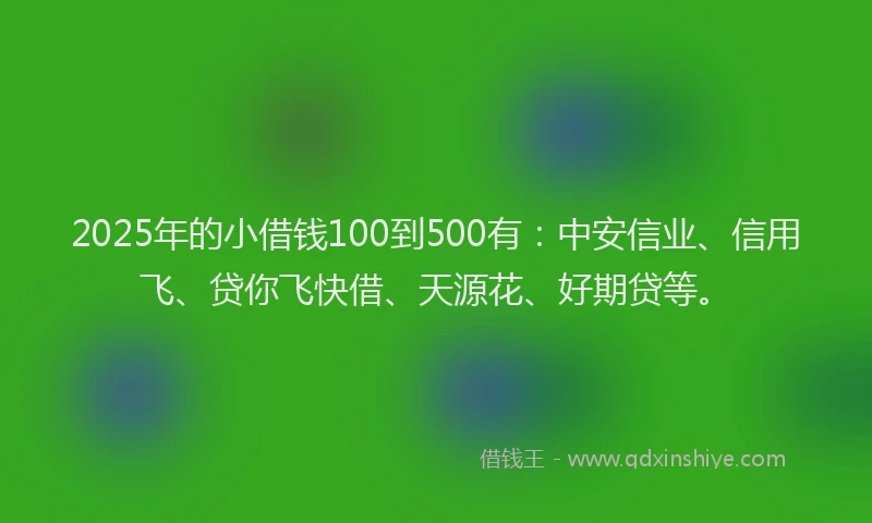 2025年的小借钱100到500有：中安信业、信用飞、贷你飞快借、天源花、好期贷等。