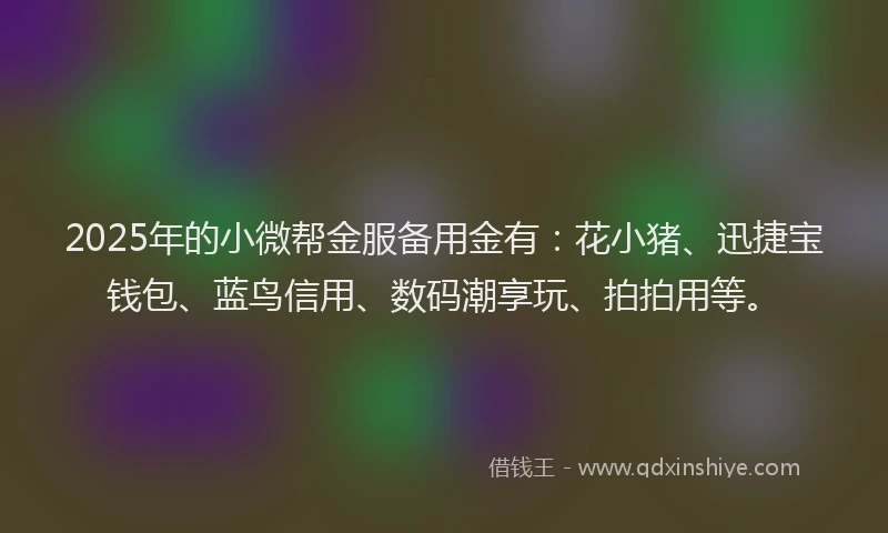 2025年的小微帮金服备用金有：花小猪、迅捷宝钱包、蓝鸟信用、数码潮享玩、拍拍用等。