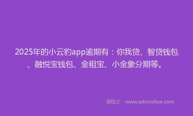 2025年的小云豹app逾期有：你我贷、智贷钱包、融悦宝钱包、金租宝、小金象分期等。