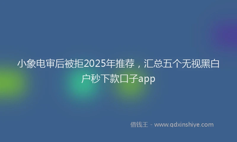 小象电审后被拒2025年推荐，汇总五个无视黑白户秒下款口子app