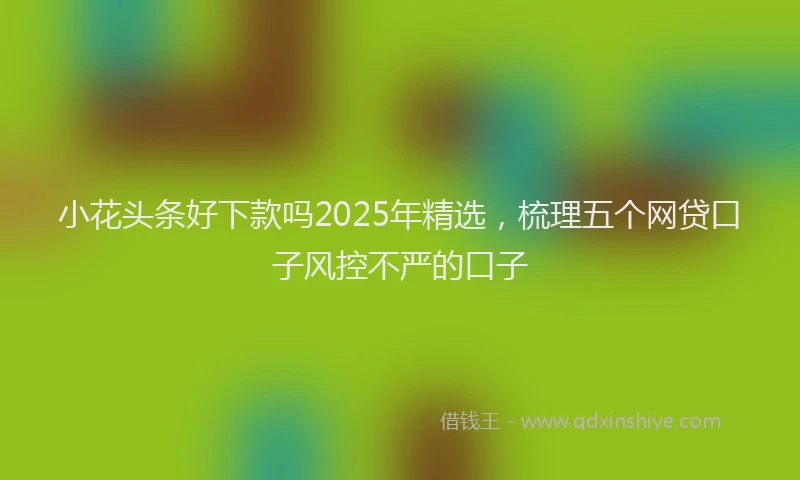 小花头条好下款吗2025年精选，梳理五个网贷口子风控不严的口子
