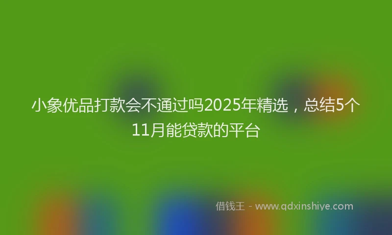 小象优品打款会不通过吗2025年精选，总结5个11月能贷款的平台