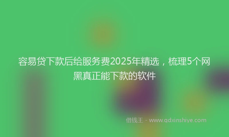 容易贷下款后给服务费2025年精选，梳理5个网黑真正能下款的软件