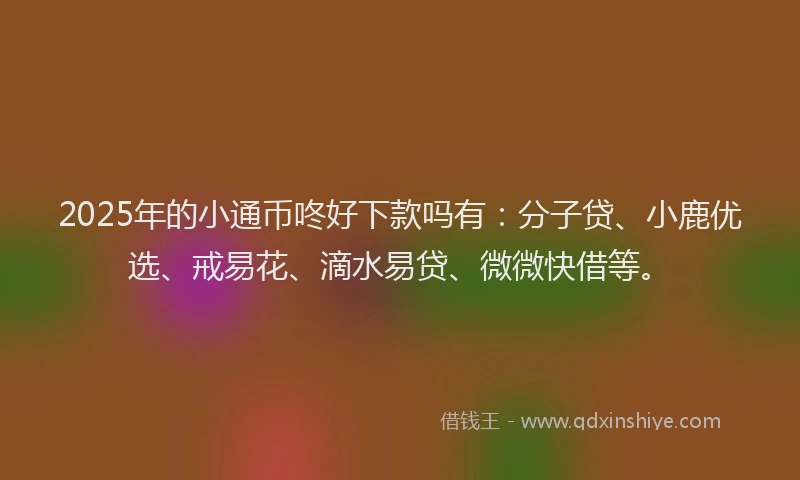 2025年的小通币咚好下款吗有：分子贷、小鹿优选、戒易花、滴水易贷、微微快借等。