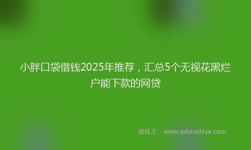 小胖口袋借钱2025年推荐，汇总5个无视花黑烂户能下款的网贷
