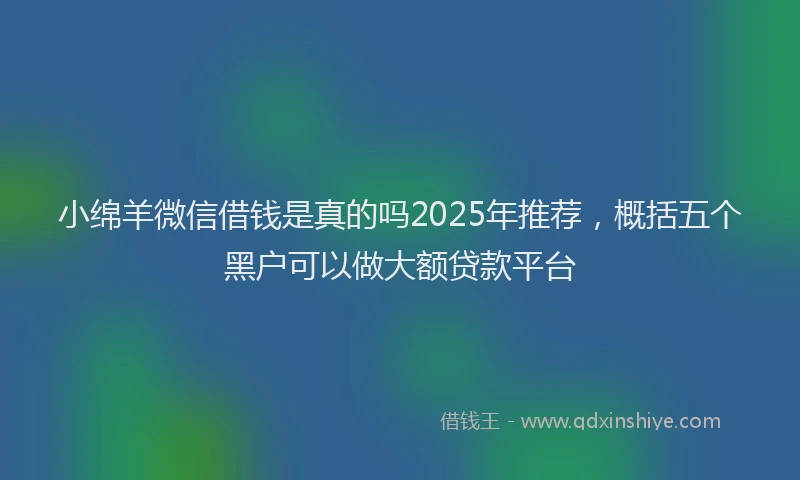 小绵羊微信借钱是真的吗2025年推荐，概括五个黑户可以做大额贷款平台