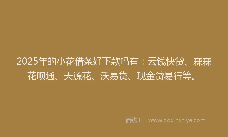 2025年的小花借条好下款吗有：云钱快贷、森森花呗通、天源花、沃易贷、现金贷易行等。