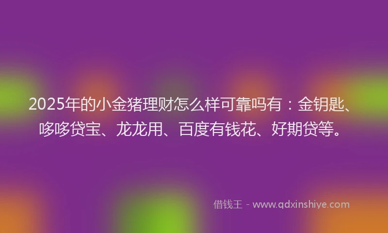2025年的小金猪理财怎么样可靠吗有：金钥匙、哆哆贷宝、龙龙用、百度有钱花、好期贷等。