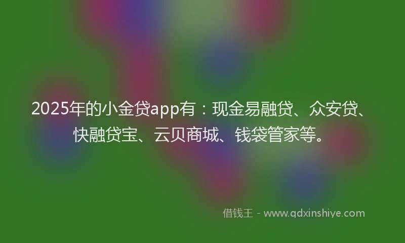 2025年的小金贷app有：现金易融贷、众安贷、快融贷宝、云贝商城、钱袋管家等。