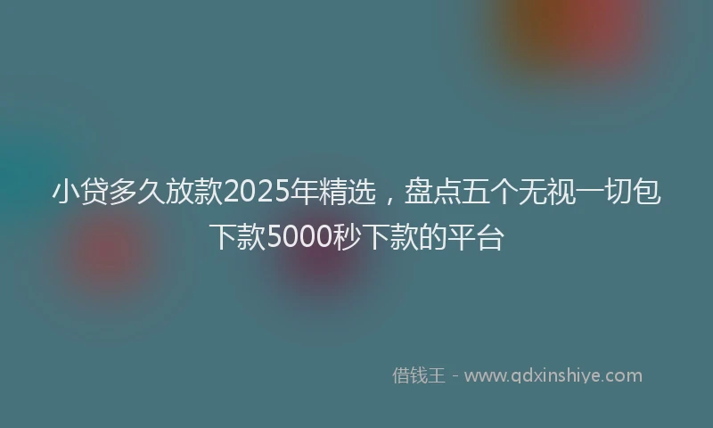 小贷多久放款2025年精选，盘点五个无视一切包下款5000秒下款的平台