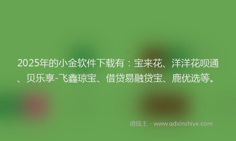 2025年的小金软件下载有：宝来花、洋洋花呗通、贝乐享-飞鑫琼宝、借贷易融贷宝、鹿优选等。