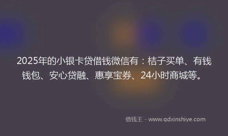 2025年的小银卡贷借钱微信有：桔子买单、有钱钱包、安心贷融、惠享宝券、24小时商城等。
