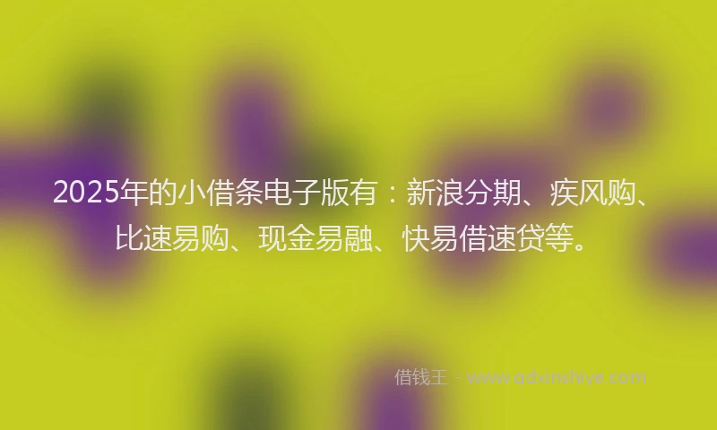 2025年的小借条电子版有：新浪分期、疾风购、比速易购、现金易融、快易借速贷等。