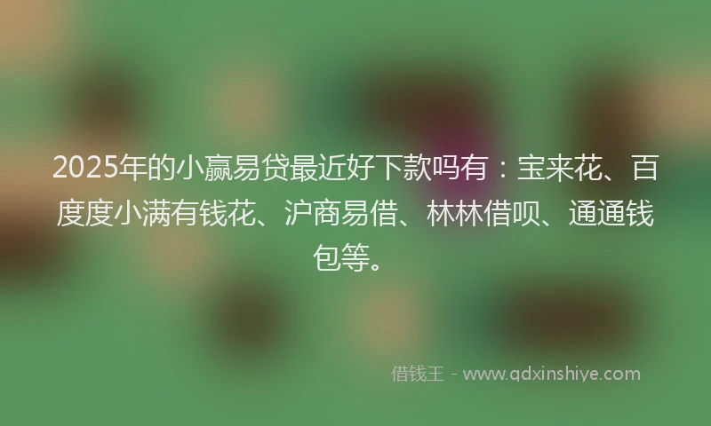 2025年的小赢易贷最近好下款吗有：宝来花、百度度小满有钱花、沪商易借、林林借呗、通通钱包等。