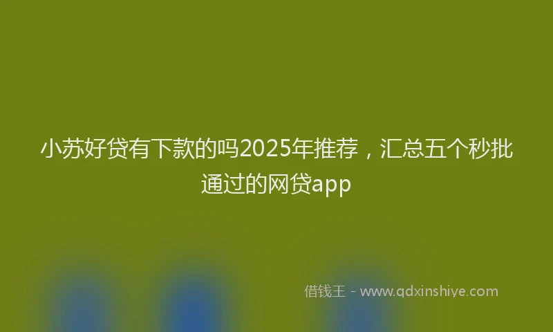 小苏好贷有下款的吗2025年推荐，汇总五个秒批通过的网贷app