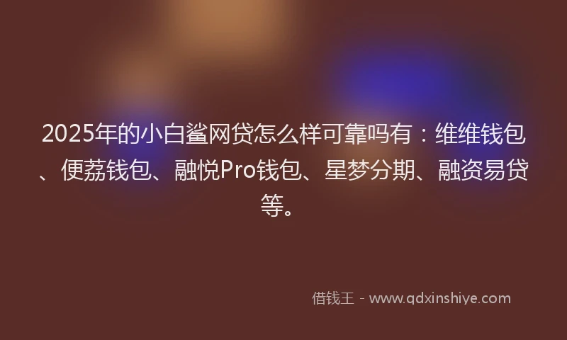 2025年的小白鲨网贷怎么样可靠吗有：维维钱包、便荔钱包、融悦Pro钱包、星梦分期、融资易贷等。