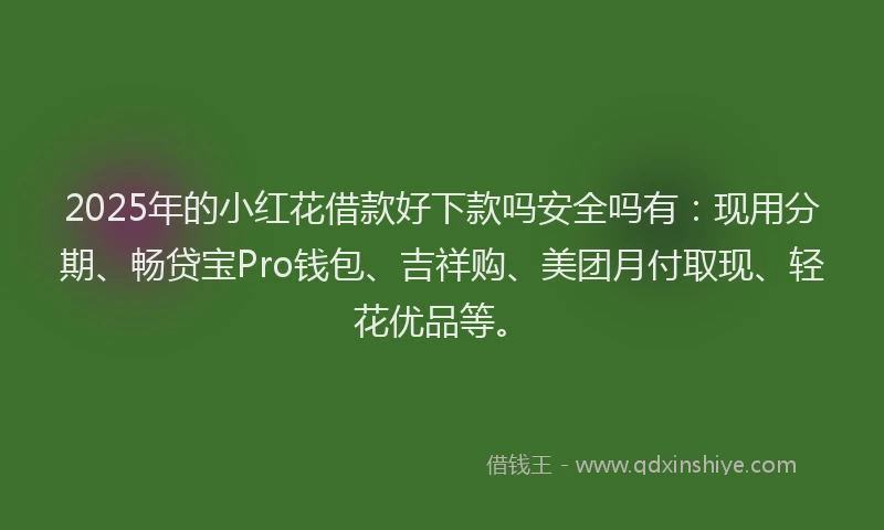 2025年的小红花借款好下款吗安全吗有：现用分期、畅贷宝Pro钱包、吉祥购、美团月付取现、轻花优品等。