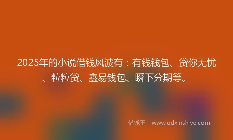 2025年的小说借钱风波有：有钱钱包、贷你无忧、粒粒贷、鑫易钱包、瞬下分期等。