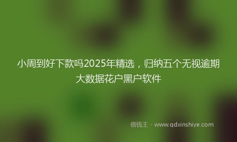 小周到好下款吗2025年精选，归纳五个无视逾期大数据花户黑户软件