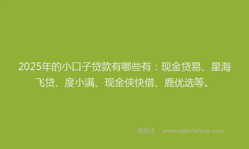 2025年的小口子贷款有哪些有：现金贷易、星海飞贷、度小满、现金侠快借、鹿优选等。