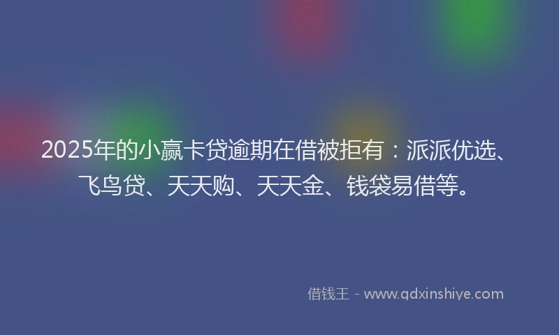 2025年的小赢卡贷逾期在借被拒有：派派优选、飞鸟贷、天天购、天天金、钱袋易借等。