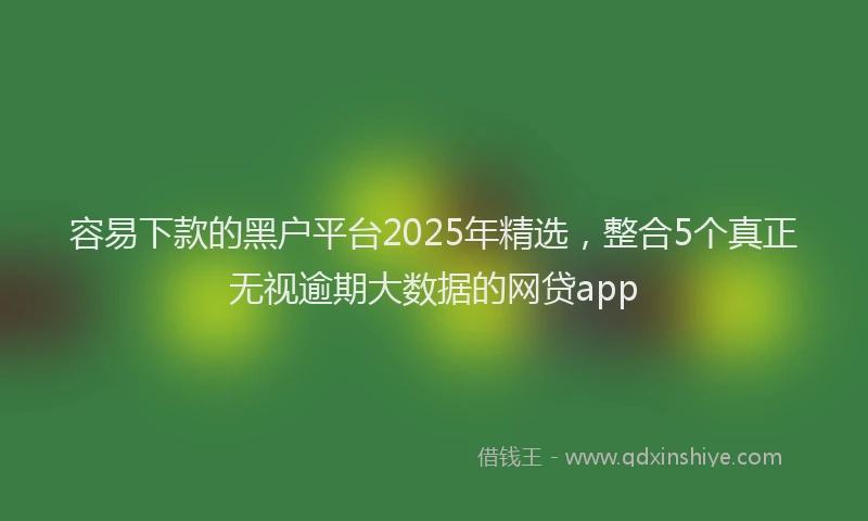 容易下款的黑户平台2025年精选，整合5个真正无视逾期大数据的网贷app