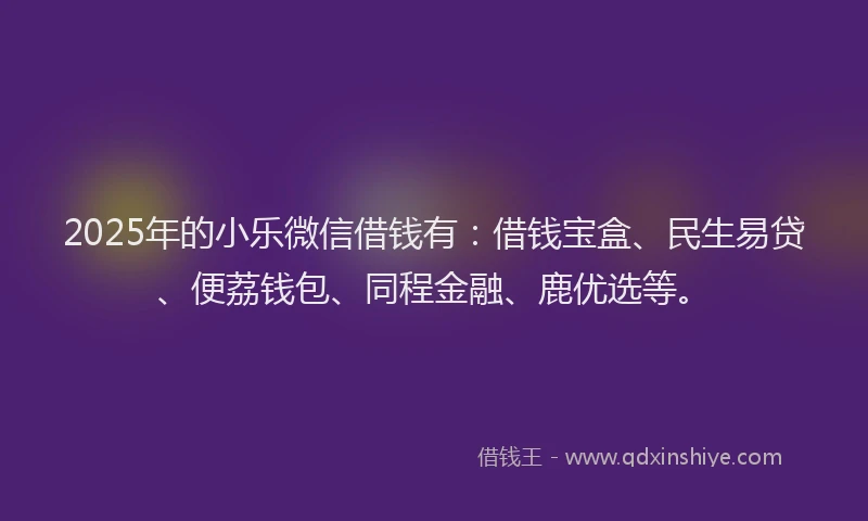 2025年的小乐微信借钱有：借钱宝盒、民生易贷、便荔钱包、同程金融、鹿优选等。