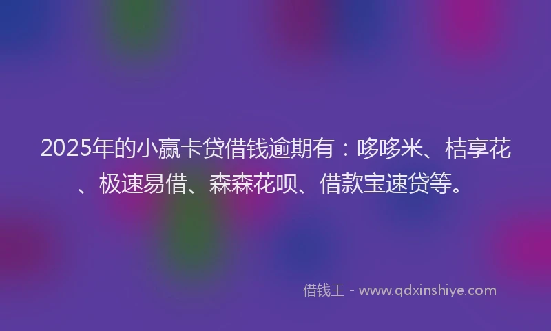 2025年的小赢卡贷借钱逾期有：哆哆米、桔享花、极速易借、森森花呗、借款宝速贷等。