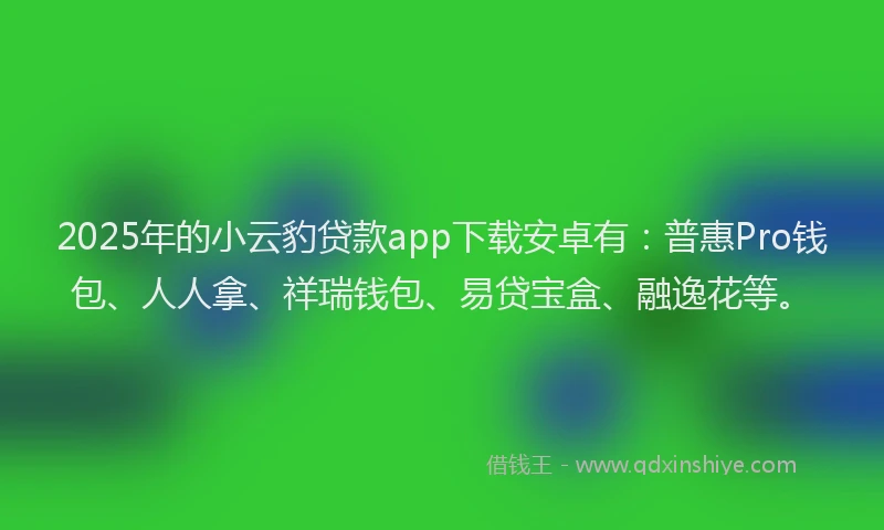 2025年的小云豹贷款app下载安卓有：普惠Pro钱包、人人拿、祥瑞钱包、易贷宝盒、融逸花等。