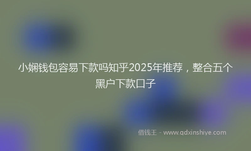 小娴钱包容易下款吗知乎2025年推荐，整合五个黑户下款口子