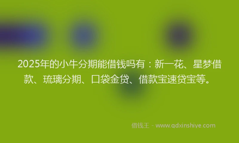 2025年的小牛分期能借钱吗有：新一花、星梦借款、琉璃分期、口袋金贷、借款宝速贷宝等。
